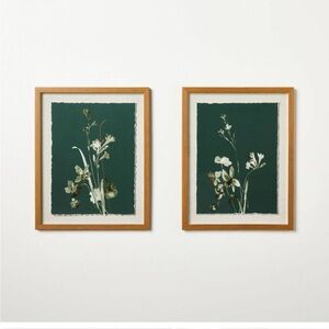 (Set of 2) 16"x20" Orchid Flowers Framed Wall Art - Threshold studio Mcgee NWT